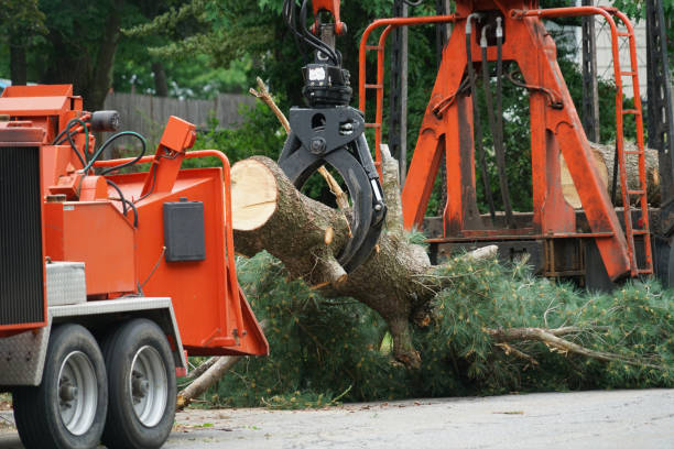 Lawn Watering Services in Bandon, OR